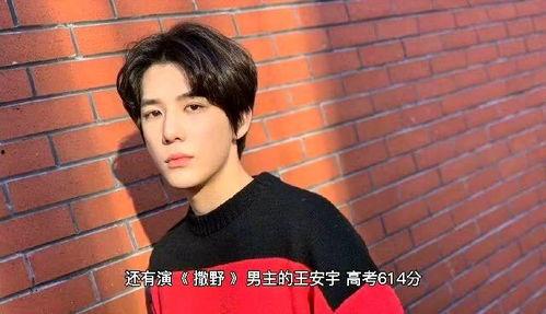 王安宇高中爆料视频,揭秘校园生活幕后真相 第1张 王安宇高中爆料视频,揭秘校园生活幕后真相 第1张
